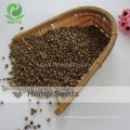 Wholesale Chinese hemp seed for planting with hemp seeds